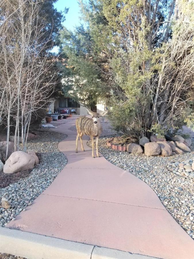 Your Comfy Home In Colorado Springs Exterior foto